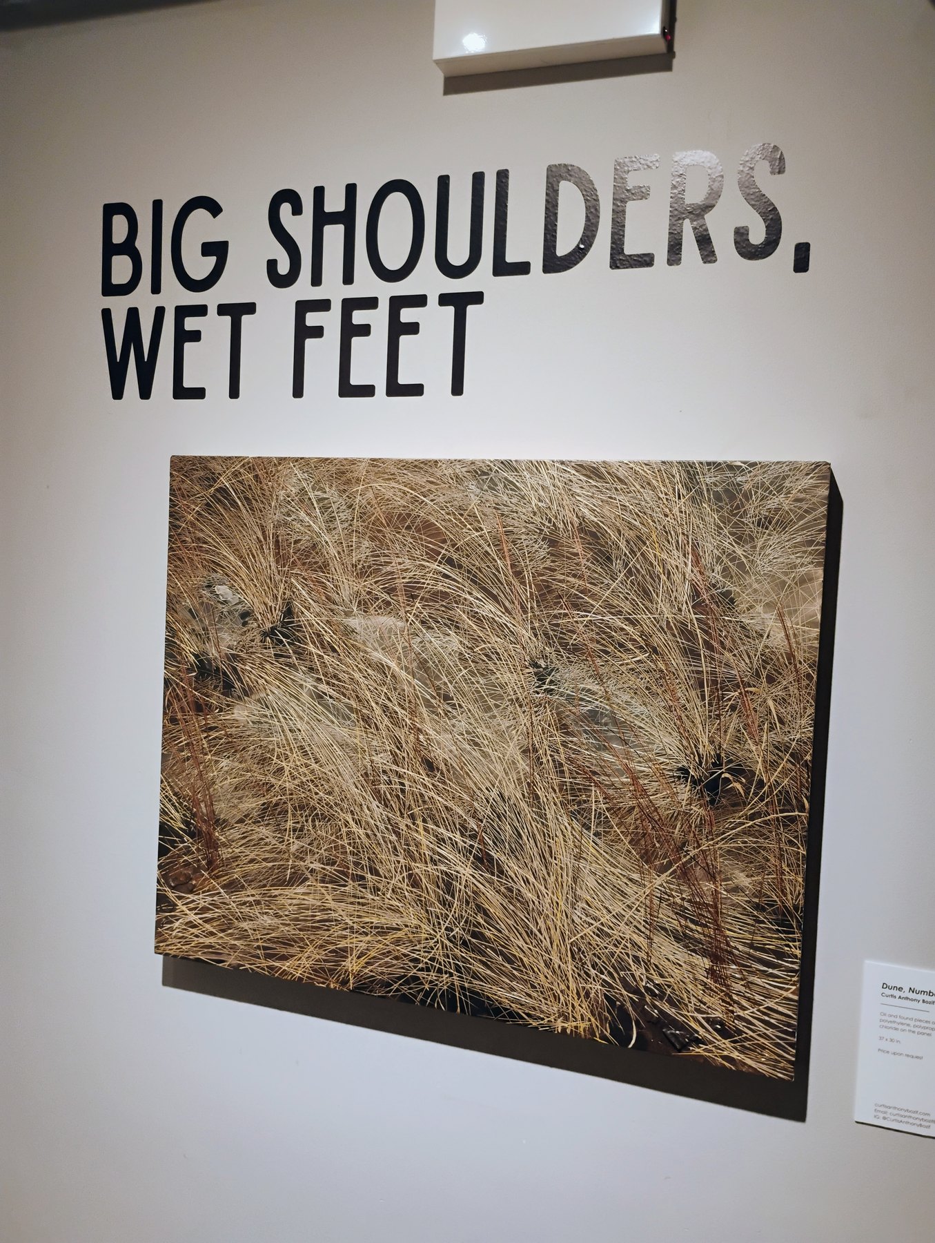 Big Shoulders, Wet Feet exhibition title wall and artwork