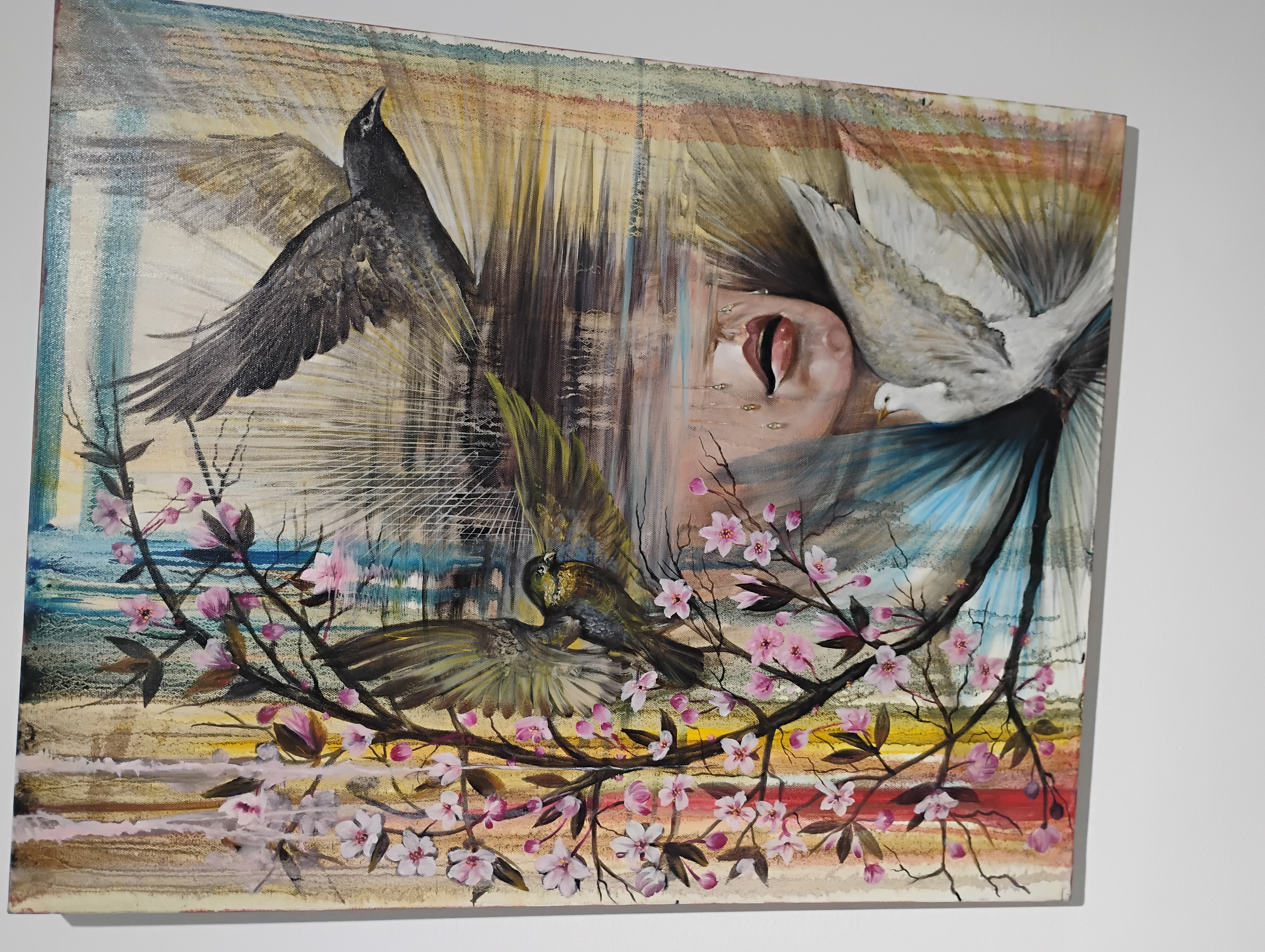 Palette of Voices